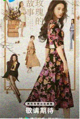 电影高清完整版 我的天才女友 剧集剧照